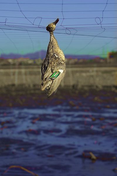 dsc_1157_2.jpg
