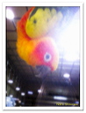 tuaf11_1